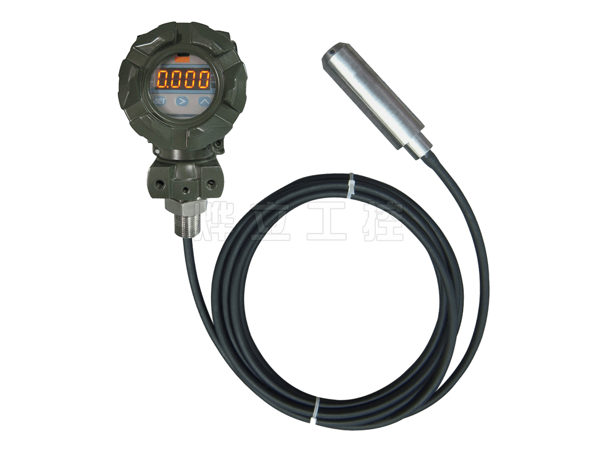 WMY-D纜式帶顯示液位變送器